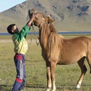 Boy and his horse