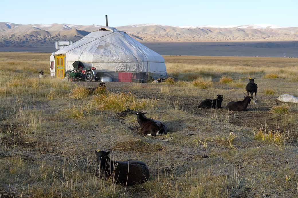 Kazakh yurt