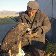 Feeding the eagle