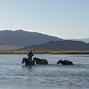 Crossing Khovd Gol