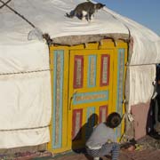 Cat on a yurt