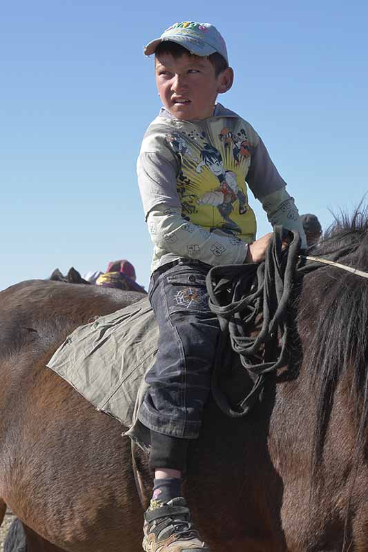 Young horseman