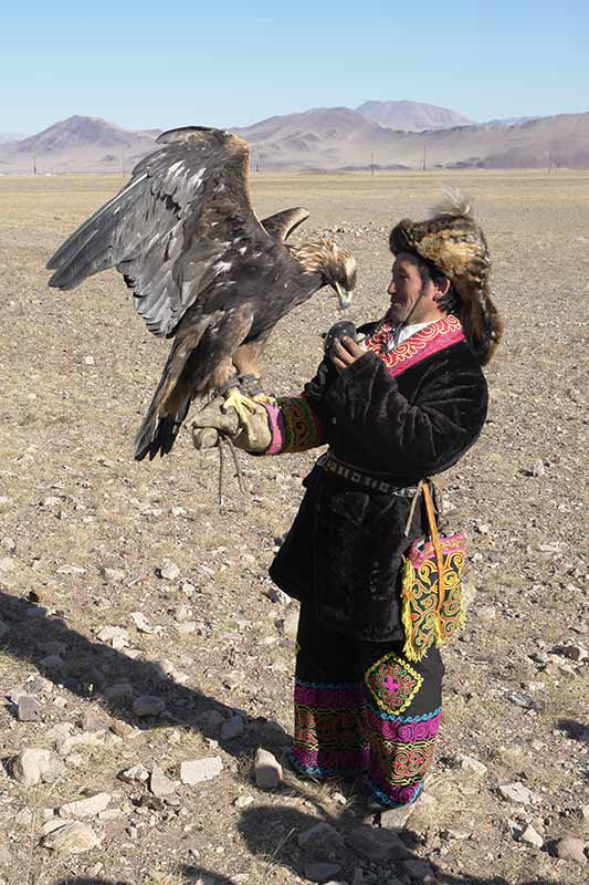 Kazakh eagle hunter