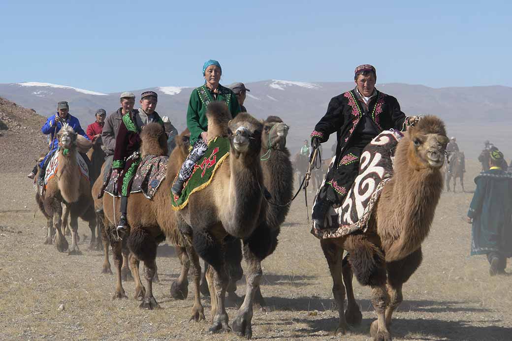 Riding camels