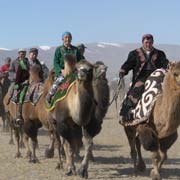 Riding camels