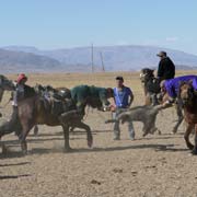 Kazakh tug-of-war