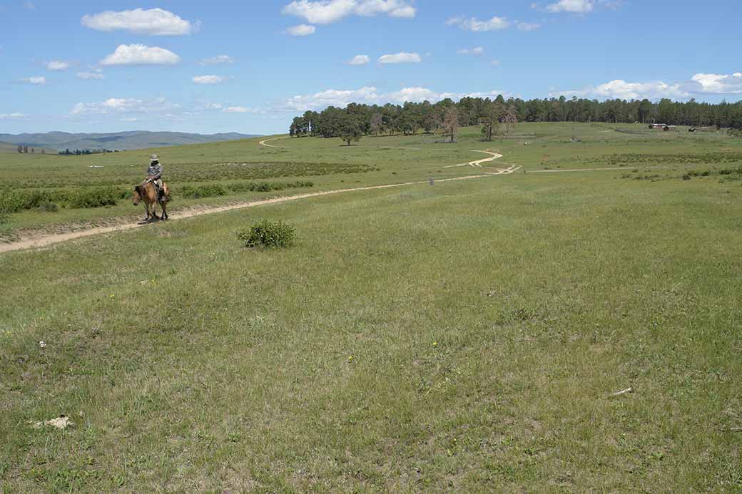 Landscape near Dadal