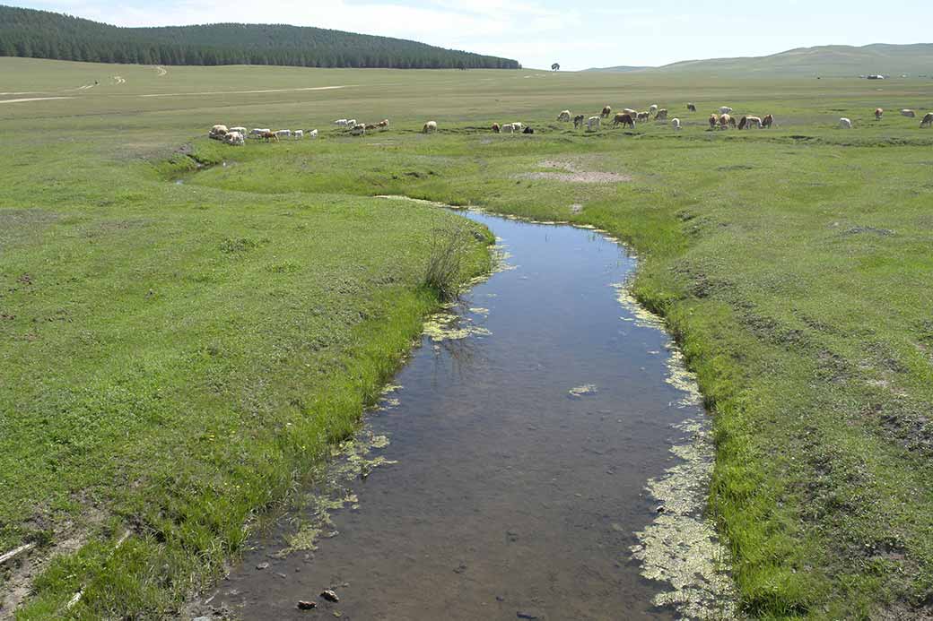 River near Dadal