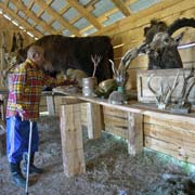 Hunter in his museum