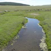 River near Dadal