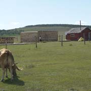 Log cabin in Dadal