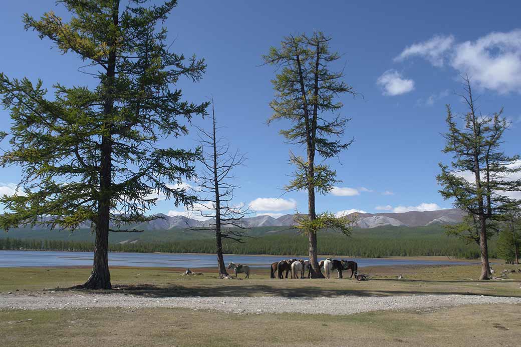 Lake at Toilogt