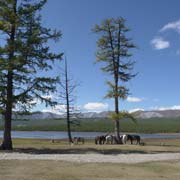 Lake at Toilogt