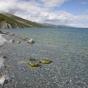 Khövsgöl Nuur beach