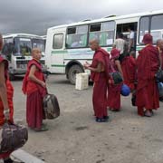 Young monks