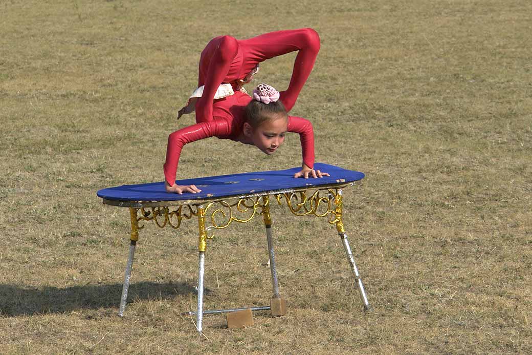 Mongolian contortion