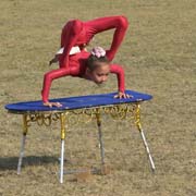 Mongolian contortion