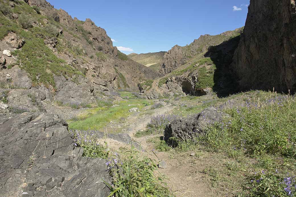 Canyon at Yolyn Am