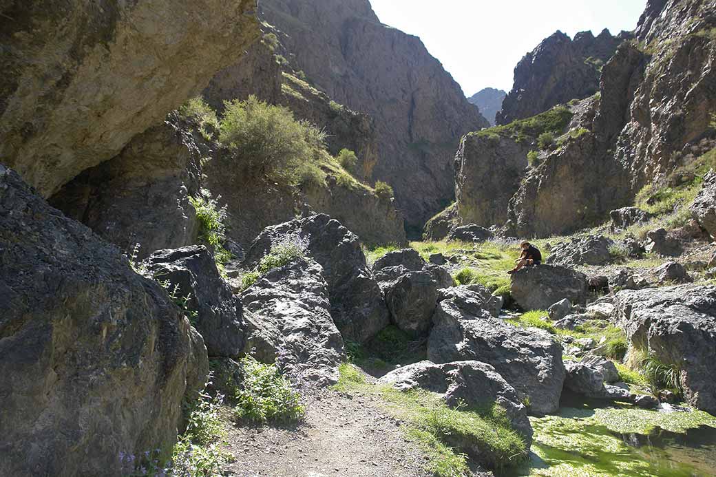 Canyon at Yolyn Am