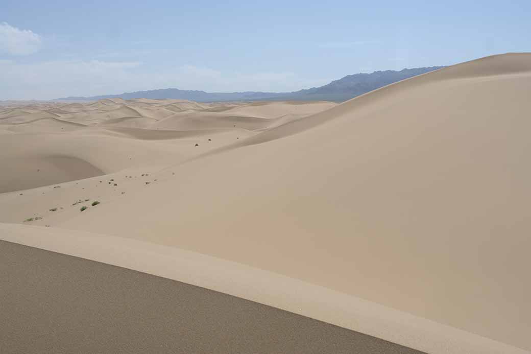 The sand dunes