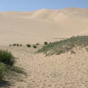 The sand dunes