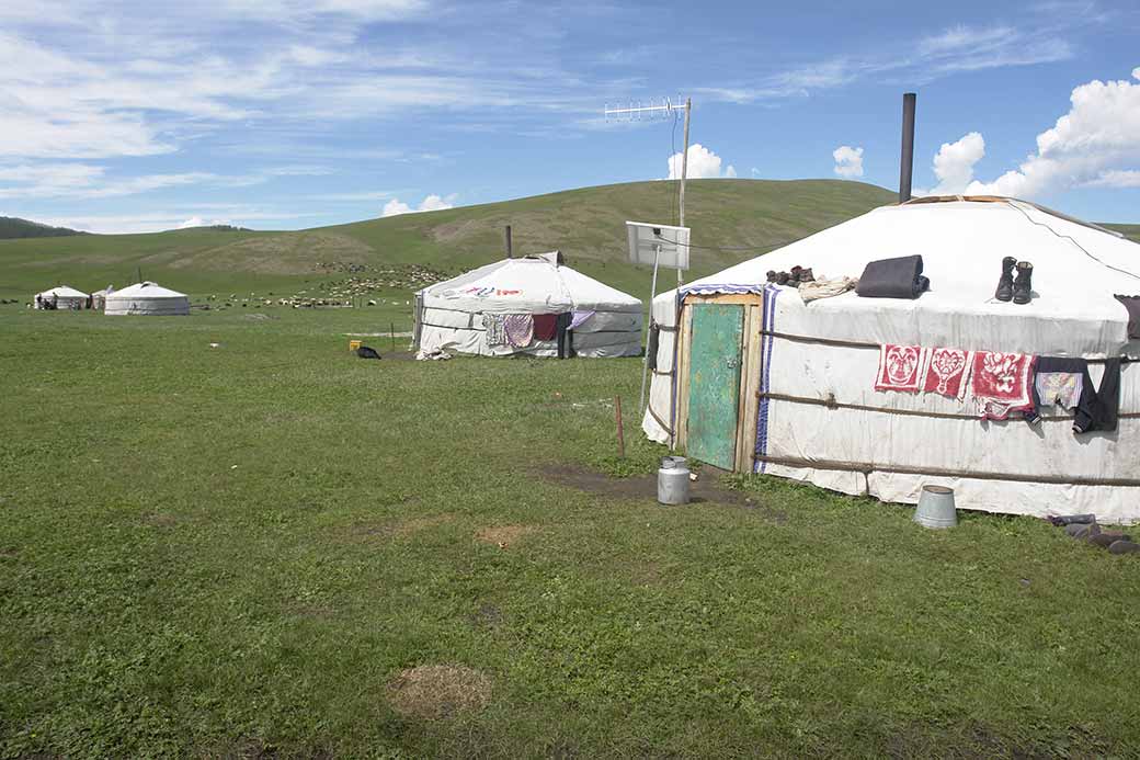 A ger camp