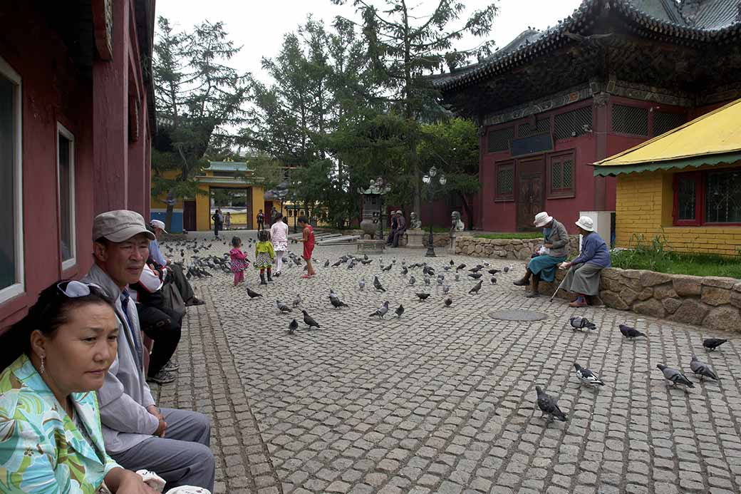 Courtyard with pigeons