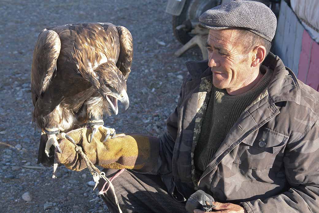 Kazakh eagle hunter