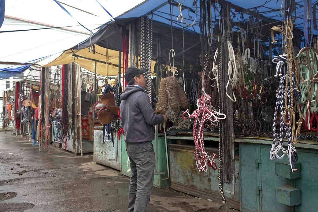 In Naran Tuul Market