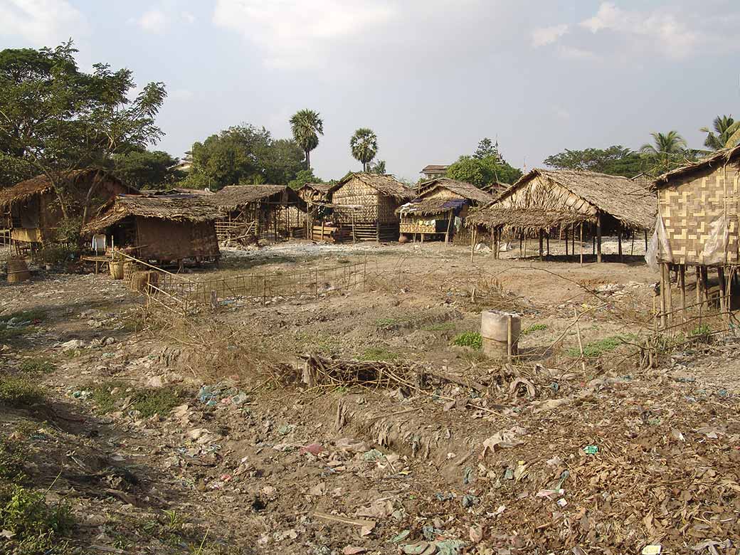 Thatched houses