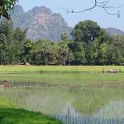 Rice fields, Kawgun