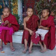 Young novice monks