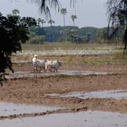 Plowing a field