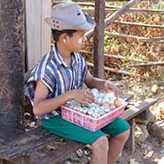 Selling eggs
