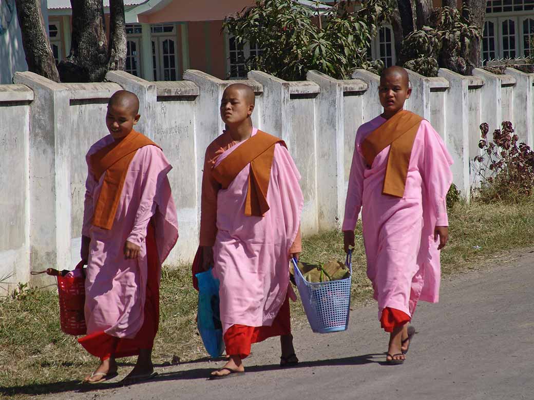 Three Buddhist nuns