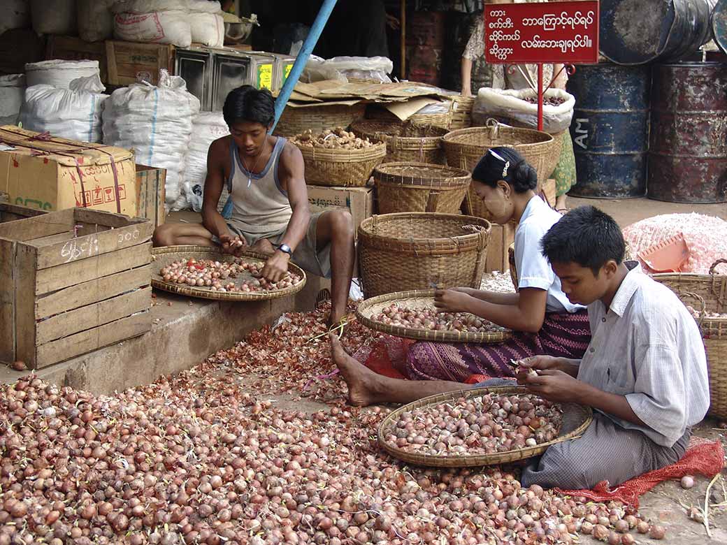 Sorting onions