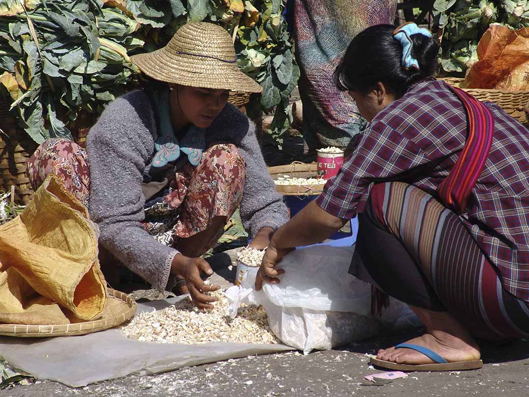 Selling bean sprouts