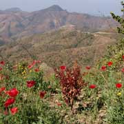 View to Thayan