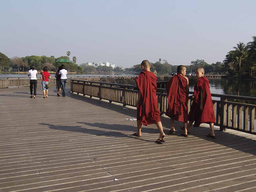 Young novice monks