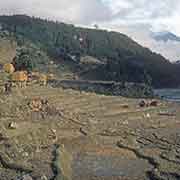 Terraces south of Melamchi