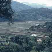 View of farms