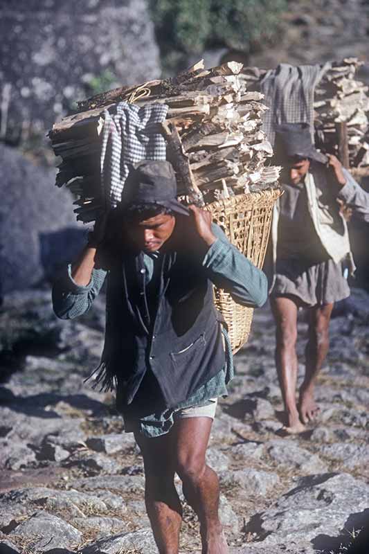 Porters carrying heavy loads