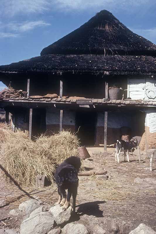 Farm house near Mulkharka