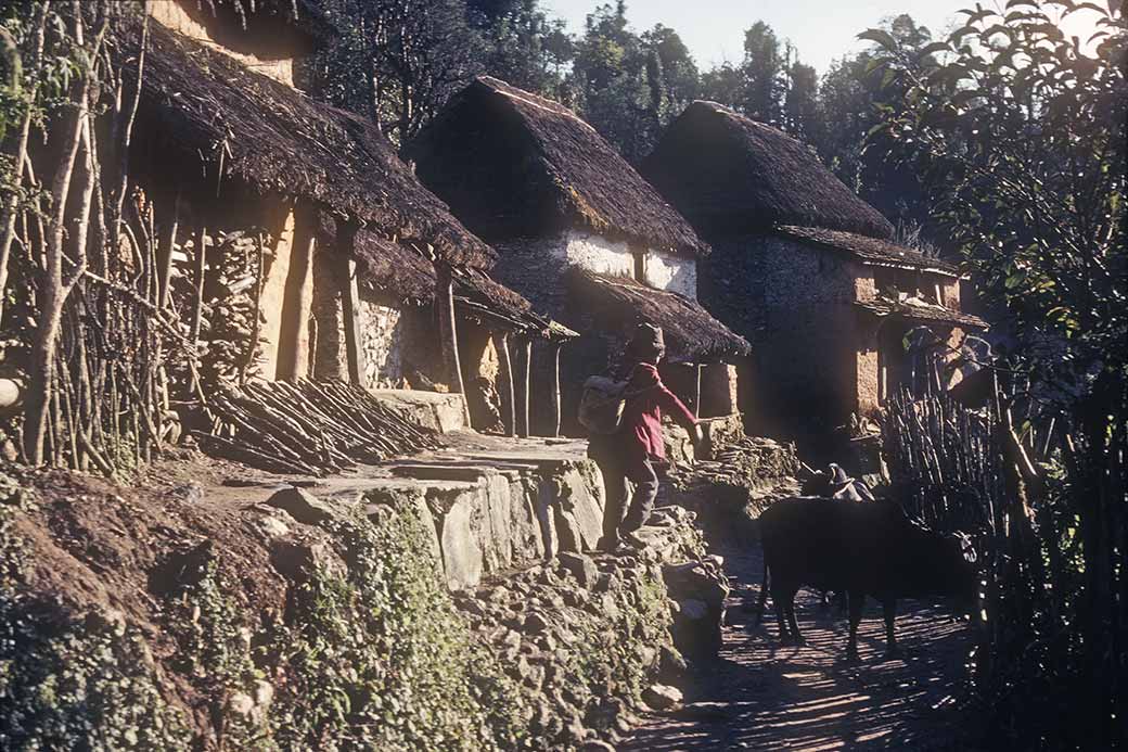 Houses, Borlang Bhanyjang