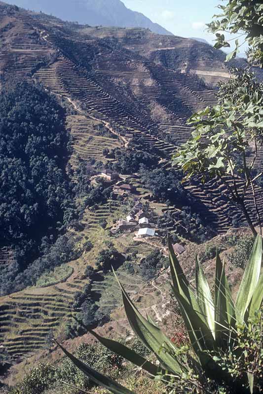 View to Pati Bhanyjang