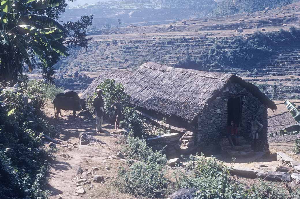 House along the track