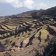 Terraces near Thakani