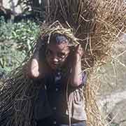 Boy with bundle of straw