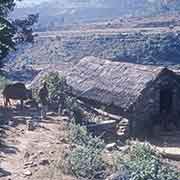 House along the track