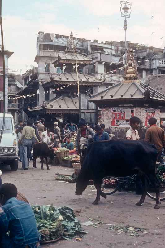 In Indra Chowk